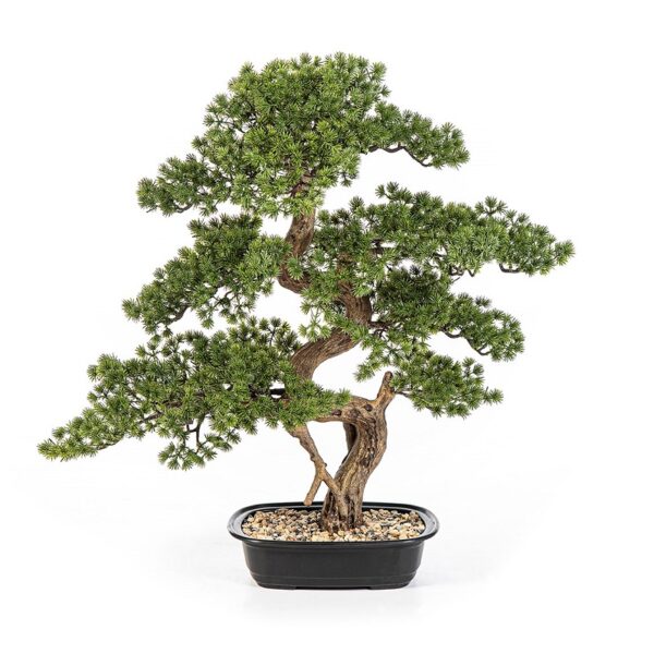 Plantas Arvores Exoticas - Bonsai | Darden | Importação, Produção e Comercialização de Plantas e Árvores Artificiais